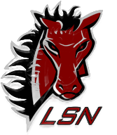 LSN